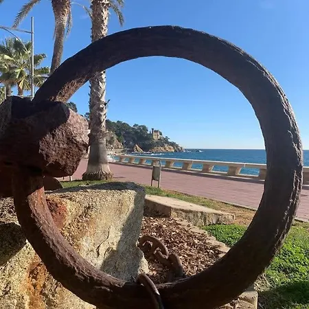 Primera Linea Borodin Ab 4º8ª